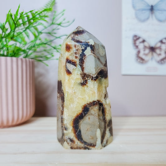 Septarian Tower