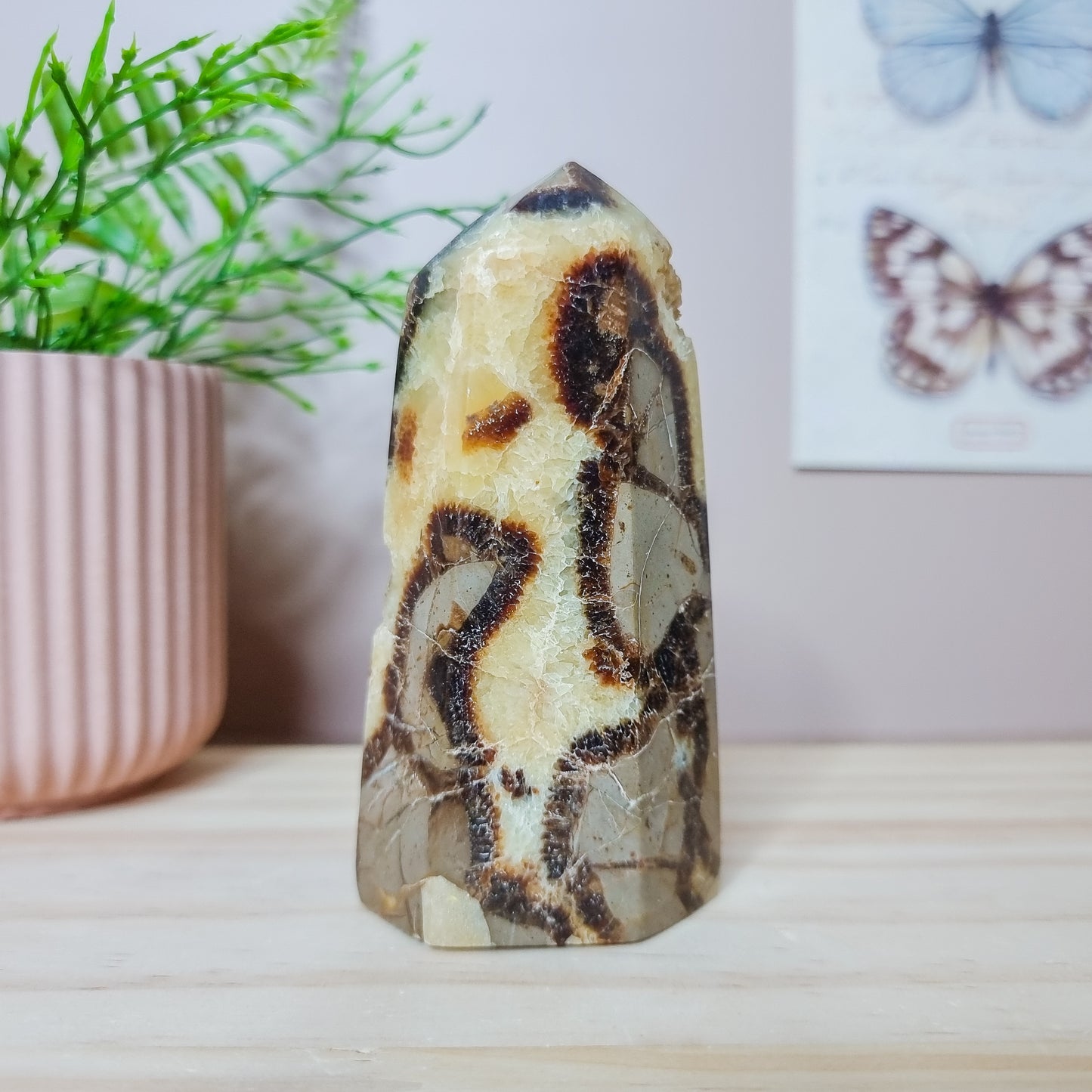 Septarian Tower
