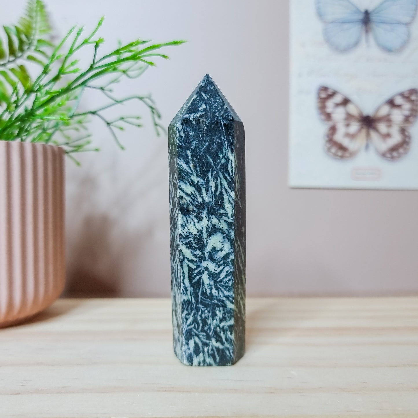 Black Tourmaline in Jade Tower