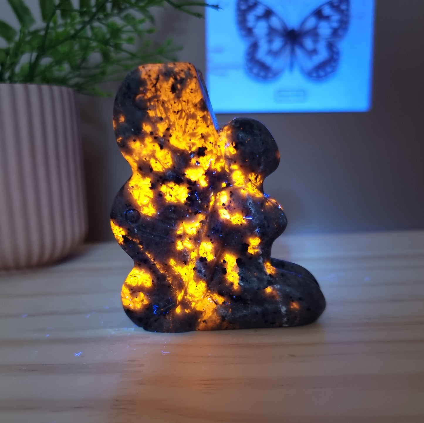 Foyalite with Fluorescent Sodalite Fairy