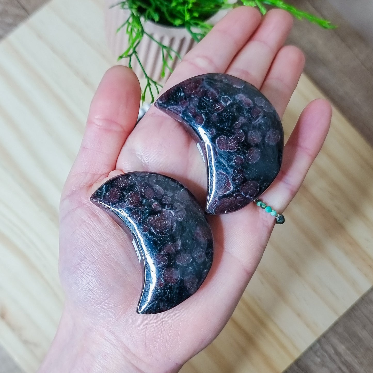 Anthophyllite with Garnet Puffy Moons