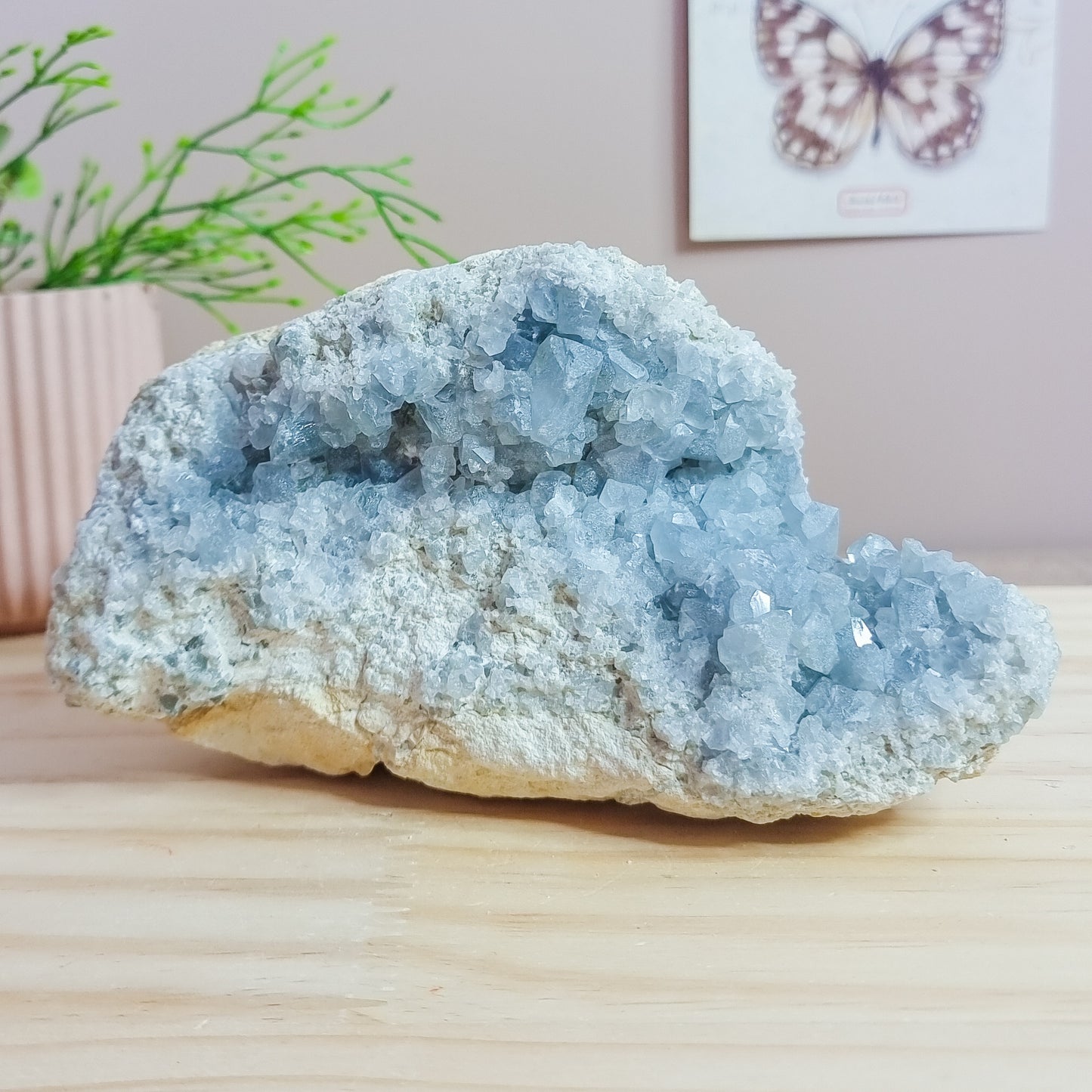 Celestite Geode Cluster